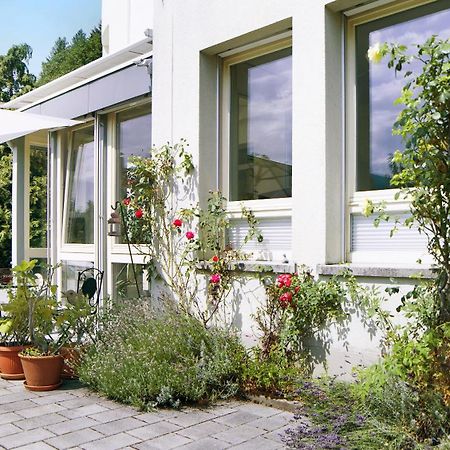 Ferienwohnung Zum Goldenen Kopf 엘자흐 외부 사진