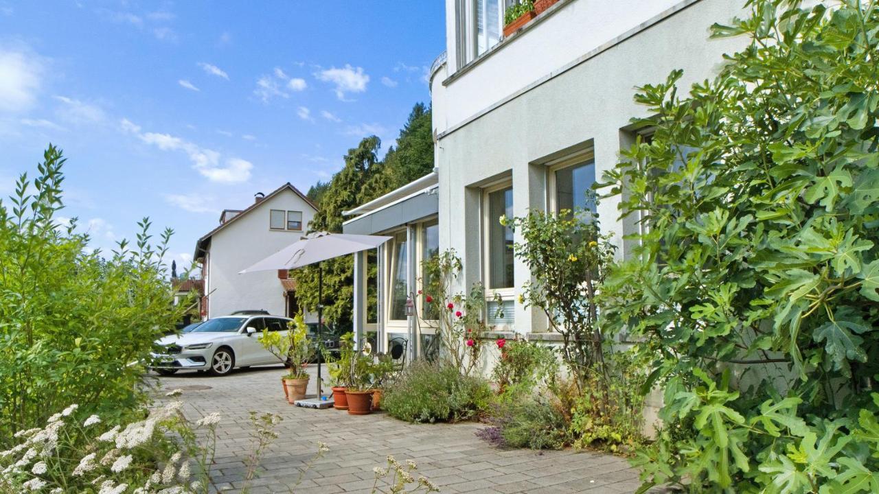 Ferienwohnung Zum Goldenen Kopf 엘자흐 외부 사진
